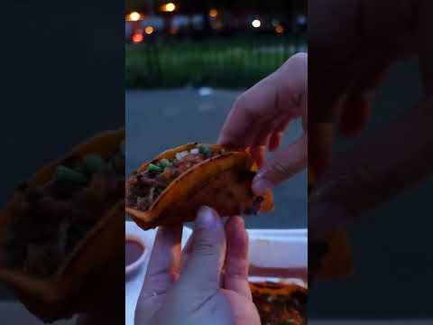 Are Birria Tacos Overhyped?