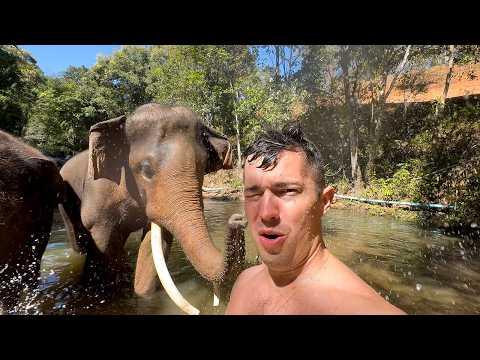 96 Hours in Northern Thailand ｜Elephant Sanctuary 