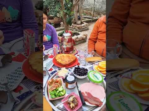 Настоящий турецкий завтрак во дворе нашего дома #влог #турция #еда #обычаи