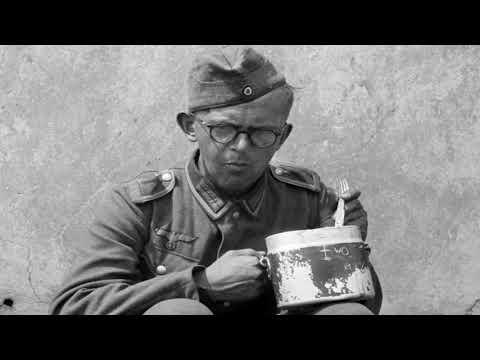 Какие продукты не ели немецкие солдаты?