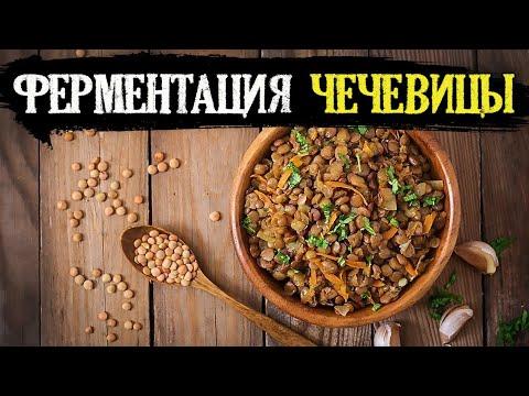 Ферментация чечевицы | Здоровое Питание, Веганство, Сыроедение