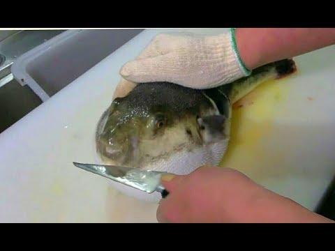 Сашими из Рыбы Фугу - Японская Уличная Еда