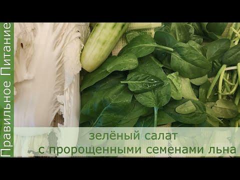 ПП. Зелёный салат с пророщенными семенами льна. Правильное питание. Рецепт канала Vita St.
