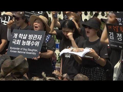 В Сеуле прошли акции против употребления в пищу мяса собак…