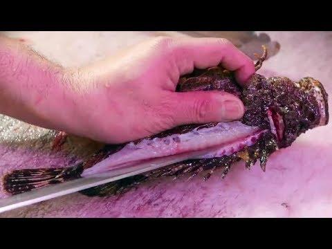 Япония Морепродукты-Каменная Рыба (Бородовчатка)Разделка и Приготовления