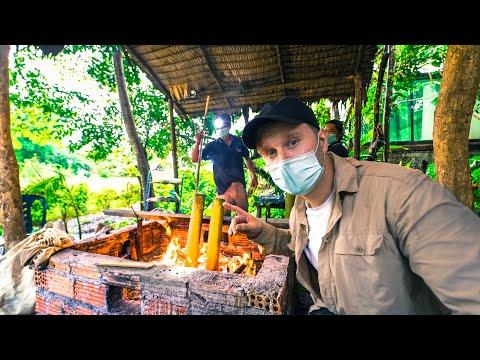 Cooking THAI Food over a Campfire / $60 Jungle House in Surat Thani / Thailand Motorbike Tour