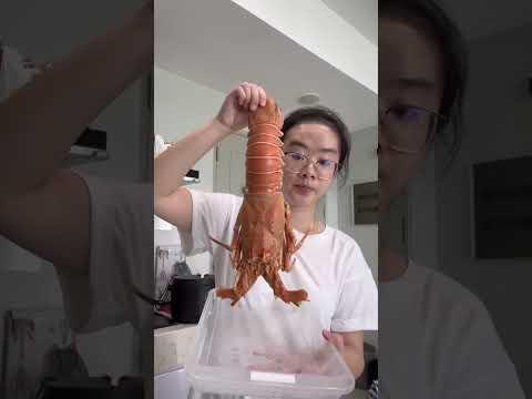 lobster se gedek gabhan