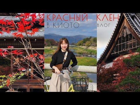 Япония Киото красный клен влог | Часть 1