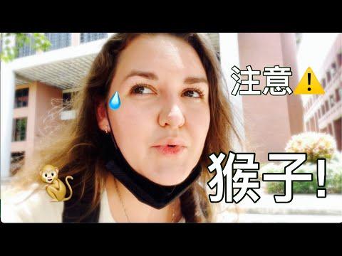 外國人第一次來台灣原來不是到台北 俄羅斯女孩到母校尋找大學好時光的滋味 去看刺青師朋友可愛的混血寶寶 吃高雄美食 #vlog #高雄