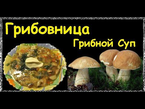 Грибовница - Грибной Суп / Книга Рецептов / Bon Appetit