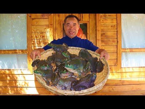 Making Boiling Bullfrog with Special Recipe, My Wife Really Loves It | Uncle Rural Gourmet