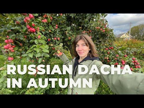 RUSSIAN DACHA autumn vlog in slow Russian. Summer house and garden tour 2021 with English subtitles