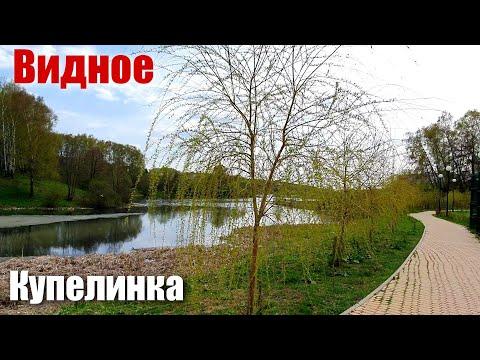 Видное Купелинка Пуговичинский пруд Май 2022 Прогулка