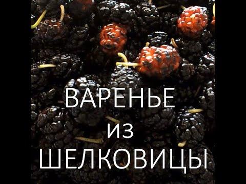 Варенье из шелковицы  /  Как приготовить варенье  /  Mulberry jam  /  How to make jam / #shorts