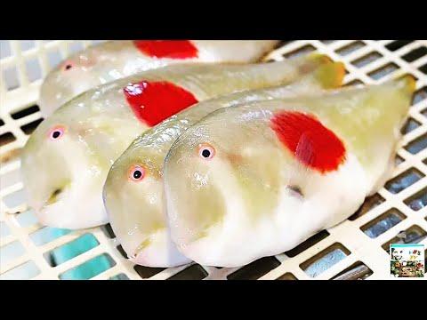 Японские ФЛАГИ Рыбы, Обработка и Приготовление | ЯПОНИЯ Морепродукты _ Full-HD.mp4