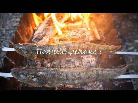 Рыбу готовлю только так  /  Очень вкусный судак  /  Fried pike perch   outdoor cooking