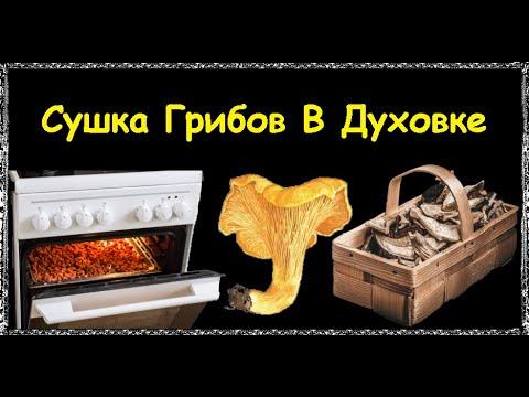 Сушка Грибов В Духовке / Книга Рецептов / Bon Appetit
