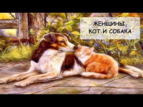 Мария Метлицкая: Женщины, кот и собака. Аудиокнига