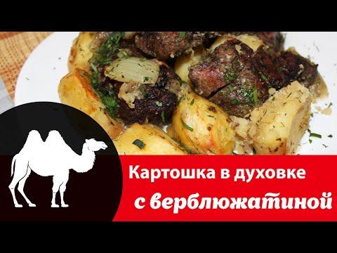 Как приготовить верблюжатину в духовке: рецепт с фото вкусной картошки с мясом, польза блюда