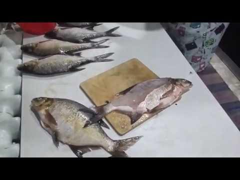 Рыбные котлеты РЫБНЫЙ ДЕНЬ