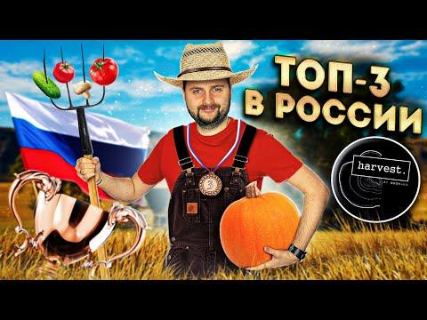 Ресторан из ТОП-3 лучших в России (официально) / НЕДОРОГО и ВКУСНО / Обзор Harvest - Санкт-Петербург