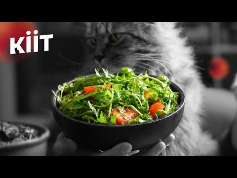 Лінивий салат цього літа! + Секретна Заправка | Прості рецепти салатів — КІІТ, # 31