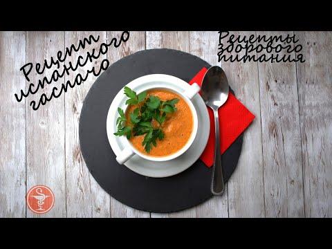 Рецепт испанского холодного супа гаспачо!
