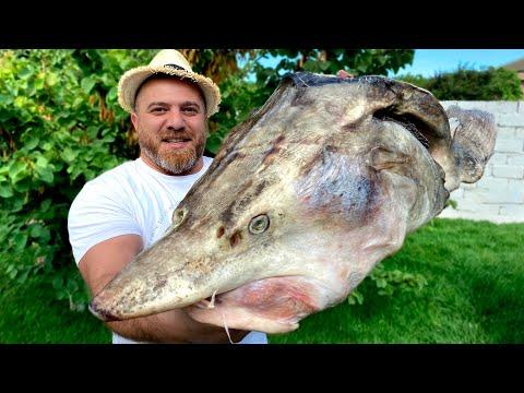 Cooking MONSTER Fish Head Soup - Beluga Sturgeon UKHA SOUP RECIPE