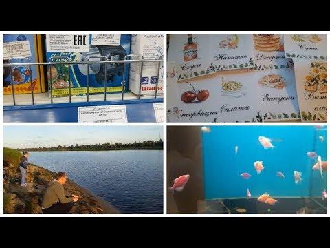Vlog. Салат Книга рецептов Дела аквариумные Рыбалка